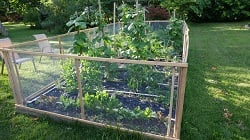 Vegetable Garden Fences