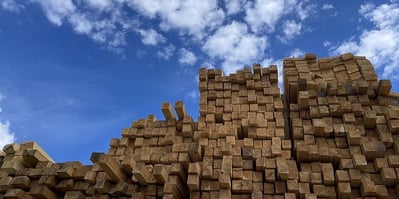 The Popularity of Cross-Laminated Timber Facilities