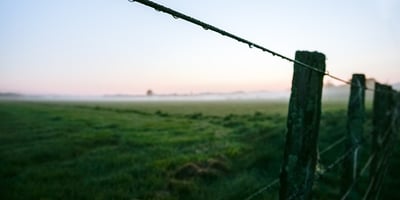 livestock fences
