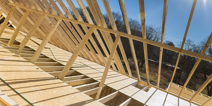 mass timber building